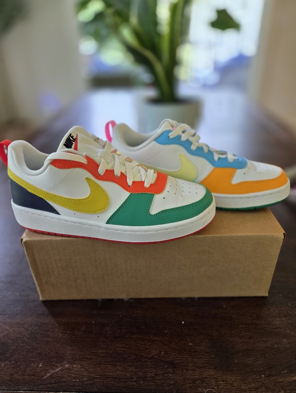 Nike Court Borough Low Multi-Color Shoes